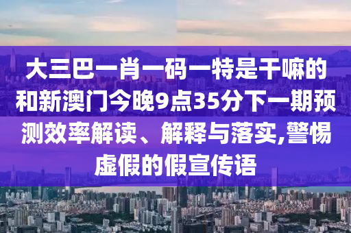 大三巴一肖一碼一特是干嘛的和新澳門今晚9點(diǎn)35分下一期預(yù)測效率解讀、解釋與落實(shí),警惕虛假的假宣傳語