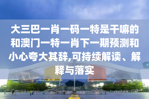 大三巴一肖一碼一特是干嘛的和澳門一特一肖下一期預測和小心夸大其辭,可持續(xù)解讀、解釋與落實