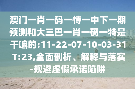 澳門一肖一碼一恃一中下一期預測和大三巴一肖一碼一特是干嘛的:11-22-07-10-03-31 T:23,全面剖析、解釋與落實-規(guī)避虛假承諾陷阱